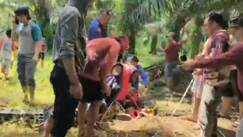 Buaya Sering Muncul di Permukiman Buat Resah Warga Tanah Laut