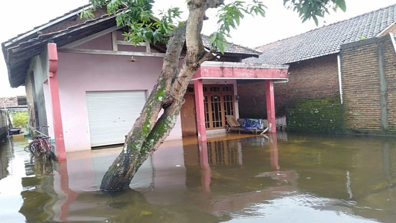 Banjir Kudus, Ratusan Rumah di 3 Kecamatan Terendam Air
