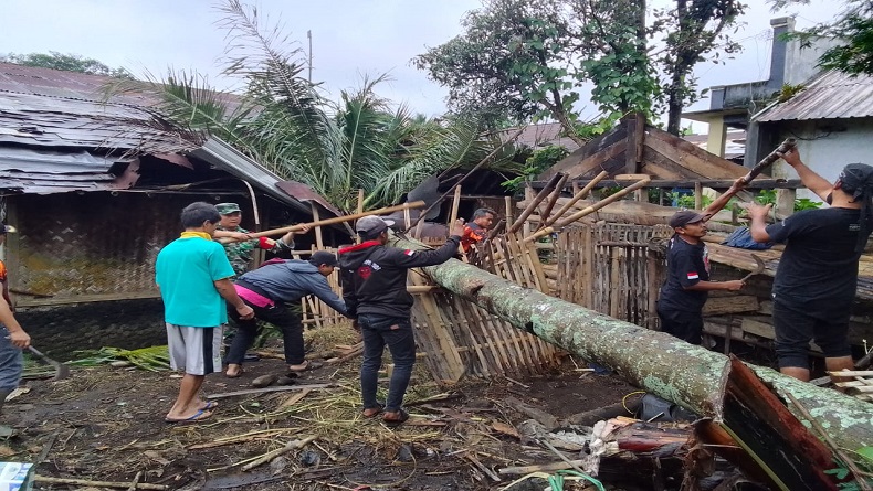 Pohon Kelapa Tumbang Timpa Rumah Warga di Pemalang