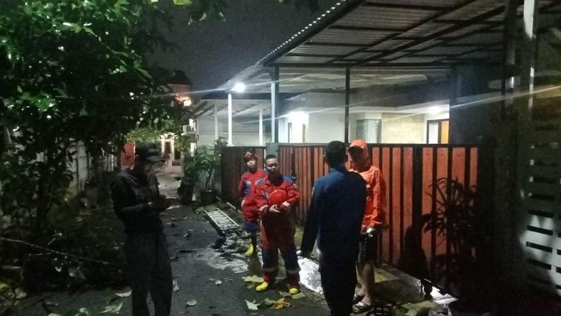 Hujan Deras, Pohon Tumbang Timpa Mobil hingga Kabel Listrik di Jaktim