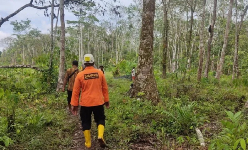 10 Hari Berlalu, Pencarian Nenek Misni Hilang di Hutan Sungai Asam Dihentikan 