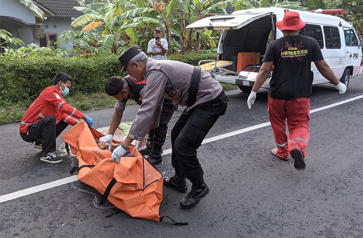 Tragis, Lansia di Kulonprogo Tewas Jadi Korban Tabrak Lari