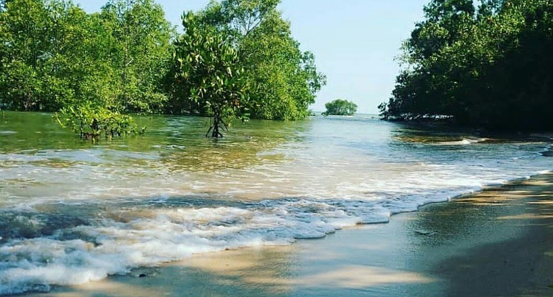 Kampung Unik di Batam, Singgah ke Desa yang Dikelilingi Hutan Bakau, Bisa Lihat Singapura