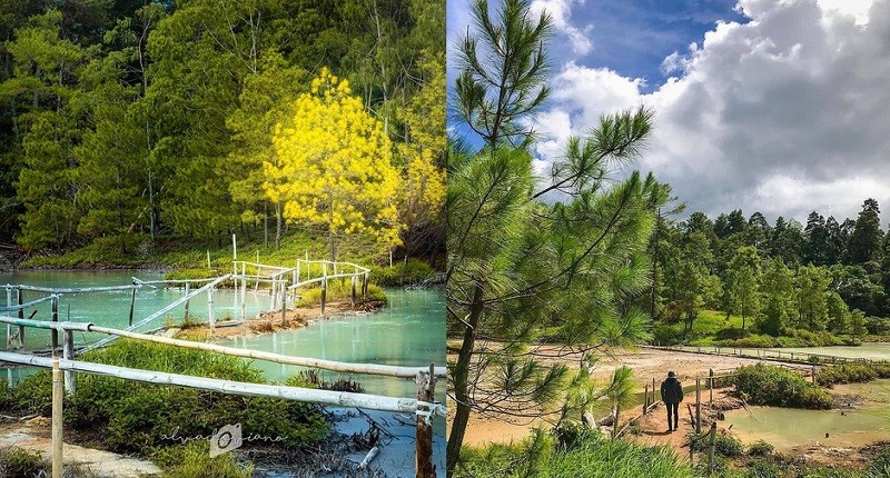 Hutan Pinus Lahendong, Suguhan Alam di Tomohon dengan Suasana Mirip Luar Negeri