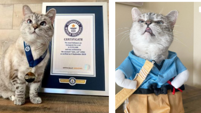 6 Hewan Peliharaan Terkaya di Dunia, Nomor 3 Milik Taylor Swift