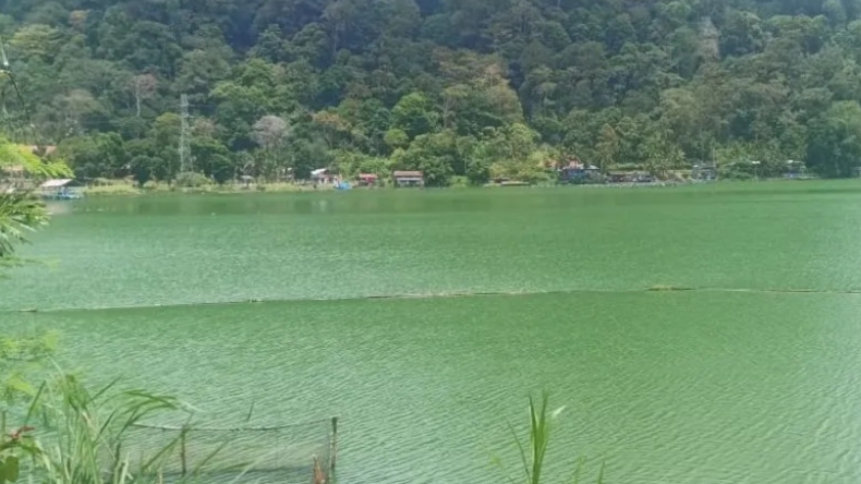 Air Tercemar, Ikan Rinuak di Danau Maninjau Langka sejak 7 Bulan