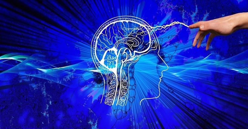 Canggih, lmuwan Temukan Alat yang Bikin Otak Tetap Hidup di Luar Kepala