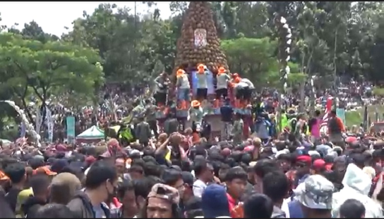 Ribuan Warga Berebut Gunungan Durian di Jombang, 3 Orang Pingsan 