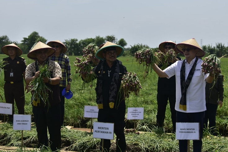 Panen Raya di Brebes, Mentan dan Wamendag Lepas Pasokan Bawang Merah ke Jakarta