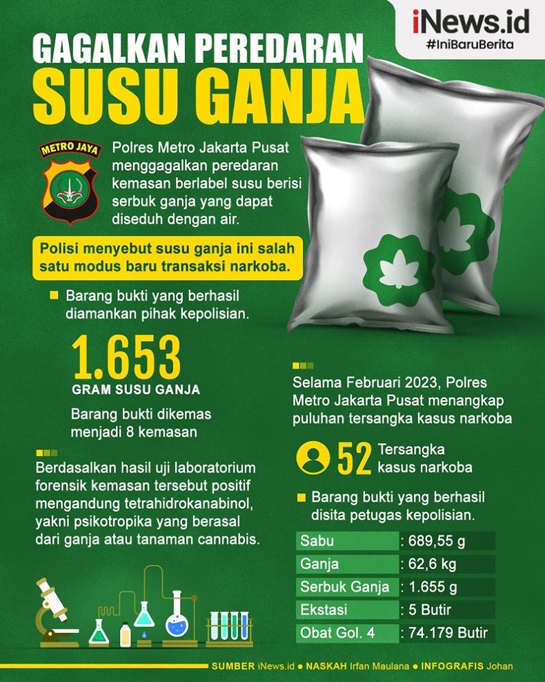 Infografis Gagalkan Peredaran Susu Ganja