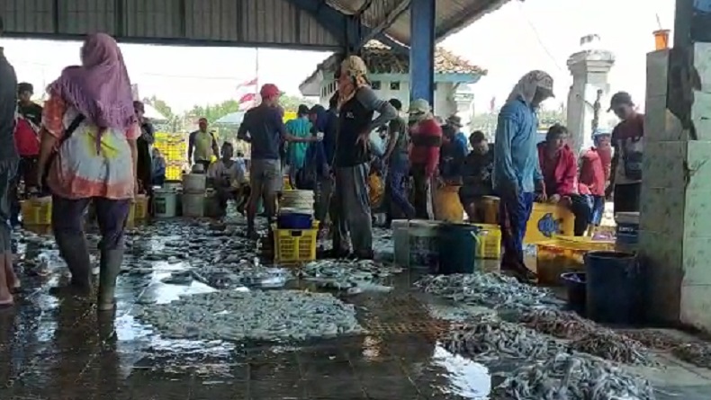Pasokan Minim, Harga Ikan di Pantai Depok Bantul Naik Jelang Lebaran