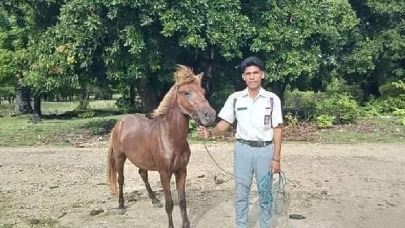 Kisah Rio Siswa SMA di NTT, Naik Kuda ke Sekolah Tempuh Jarak 8 Km