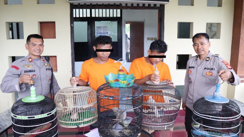 Beraksi Curi Burung, 2 Pria Ini Keluarkan Jurus Dewa Mabuk saat Tepergok Korban 