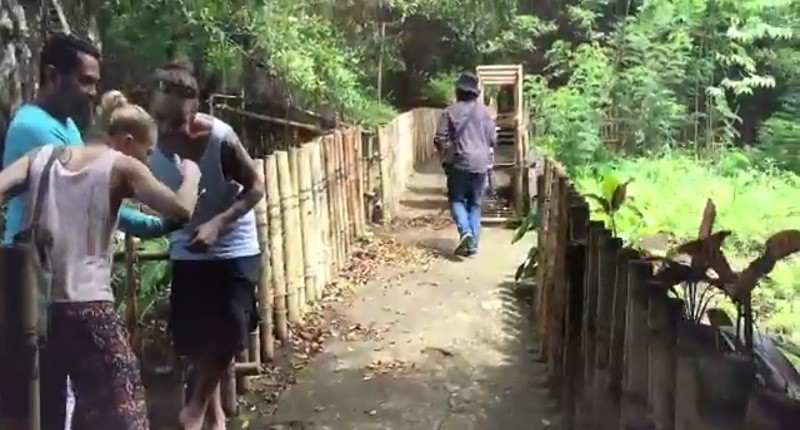 Kampung Unik di Ternate, Punya Hutan Cengkih Tertua di Dunia, Udaranya Sejuk dan Harum