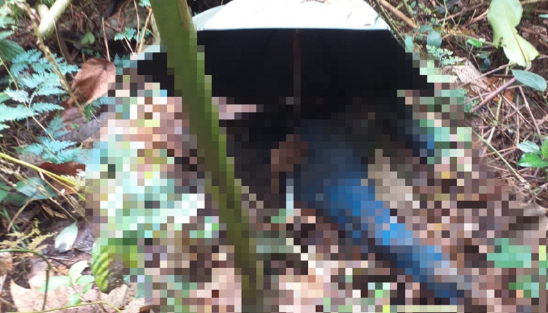 Geger Temuan Kerangka Perempuan di Gunung Halimun Salak, Lokasinya Bukan di Jalur Pendakian