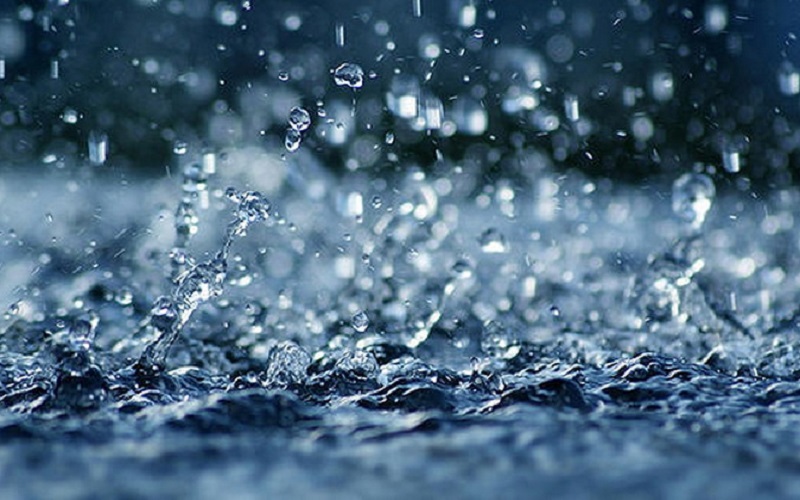 Cuaca Ekstrem di Rusia, 10 Orang Tewas Tertimpa Pohon