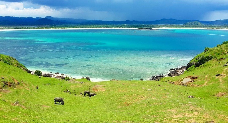 Bukit Merese, Pemandangan Eksotis di Lombok Berselimut Rumput Hijau dan Laut Biru 