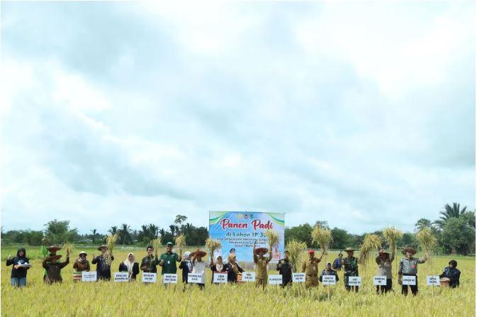 Pj Bupati HSU Apresiasi Panen Raya Kedua Lahan IP300 di Desa Tambalang Kecil 