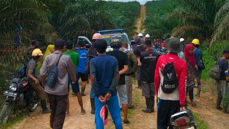 Mayat Tanpa Identitas di Bangka Barat Miliki Ciri-ciri Sama dengan Anak Hilang di Kebun Sawit