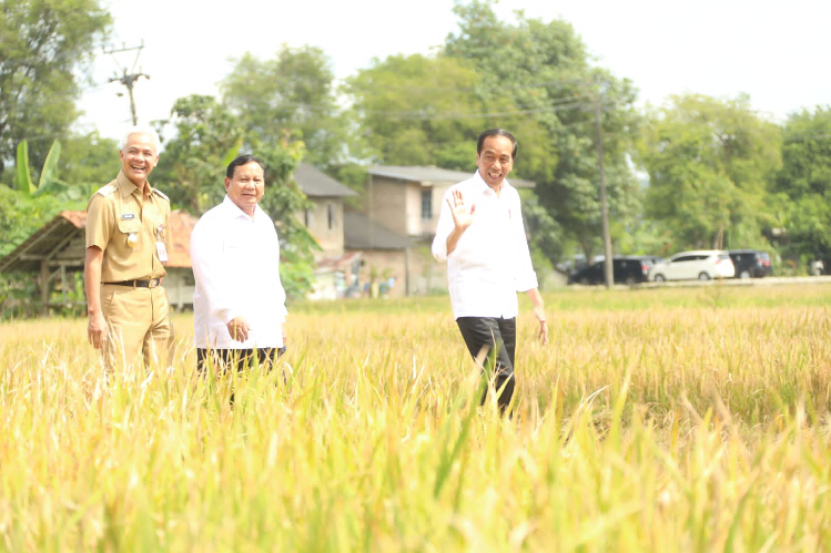 Presiden Jokowi Panen bersama Menteri Pertanian di Kebumen