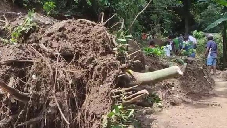 Tebing Longsor Timbun Jalan Utama di Greged Cirebon, Ratusan Warga Terisolasi