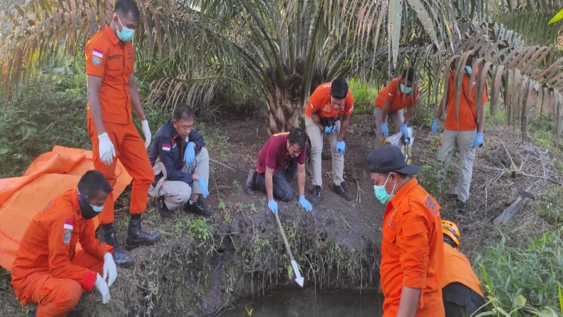 Terungkap! Mayat di Kebun Sawit Bangka Barat Ternyata Hafizah Bocah Hilang