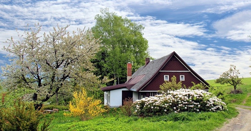 Elon Musk Ingin Bangun Kota Baru untuk Karyawannya, Tawarkan Harga Sewa di Bawah Pasar