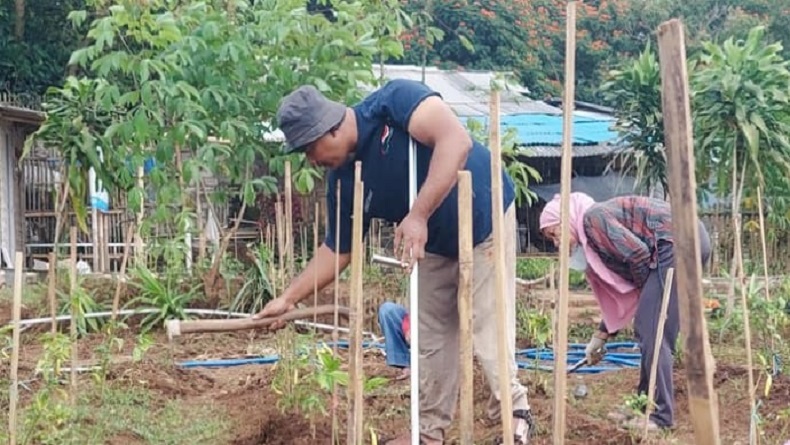 Kelompok Disabilitas di Cimahi Pantang Menyerah, Sukses Raup Cuan dari Bertani