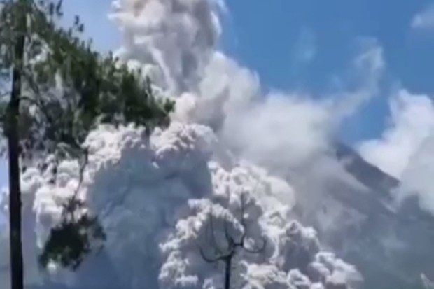  Magelang Diguyur Hujan Abu, Genteng Rumah dan Pohon Berubah Warna 