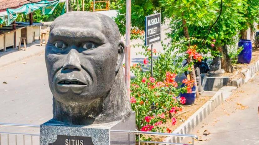 Mengenal Desa Wisata Sangiran, Ada Museum Pusat Peradaban Manusia Purba di Dunia