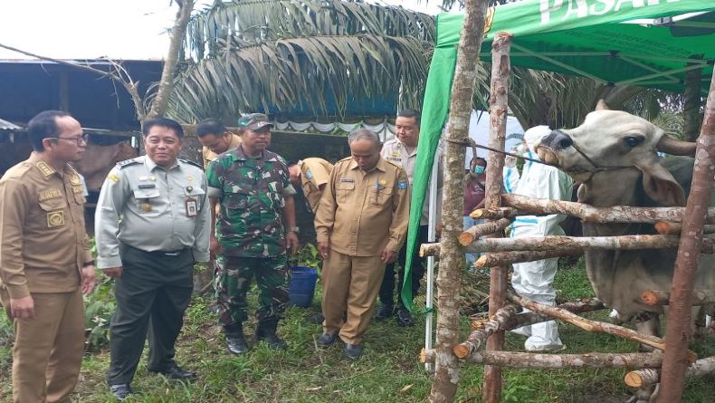 Cegah PMK, 23 Sapi Kelompok Tani Sejahtera Desa Belimbing Divaksin Booster
