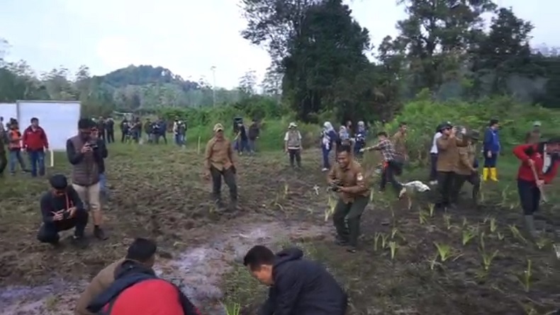 Perbaiki Ranca Upas Bandung, Perhutani Tanam 5.000 Bibit Pohon