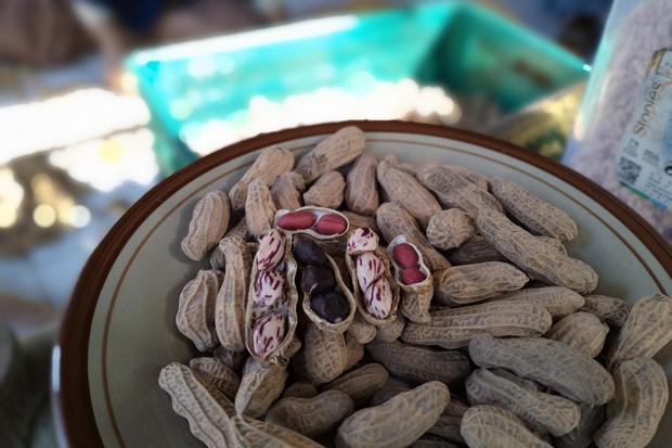 Kenalkan Varian Kacang dari Gunungkidul yang Rendah Lemak