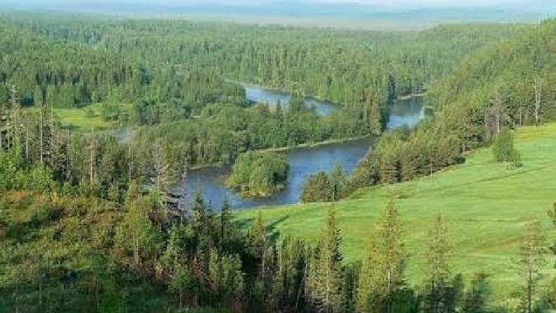 5 Negara dengan Hutan Terluas di Dunia, Nomor 2 Banyak Keanekaragaman Hayati