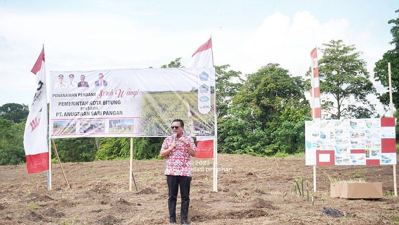 Tingkatkan Perekonomian Petani, Bitung Tanam Perdana Sereh Wangi