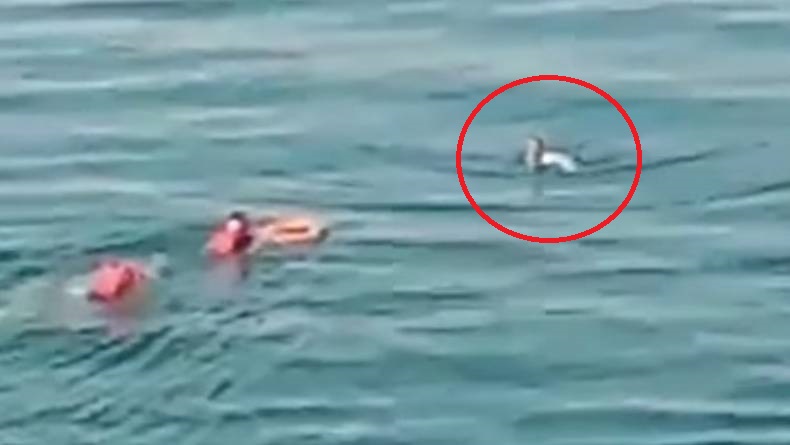 Santri Tercebur ke Laut saat Mudik Bareng ke Madura, Begini Kondisinya