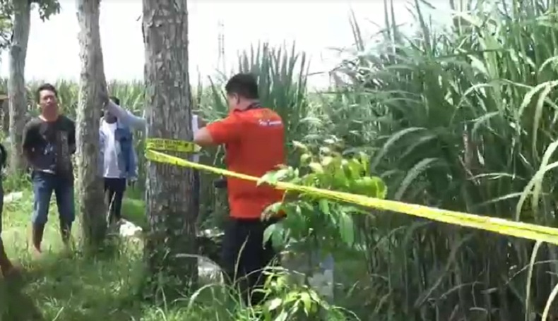 Bayi Baru Lahir Dibuang di Pinggir Jalan Tulungagung, Meninggal di Puskesmas 