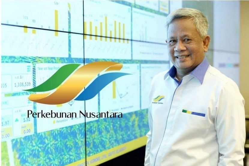  13 PTPN Bakal Digabung Jadi 2 Subholding Perkebunan, Apa Saja? 