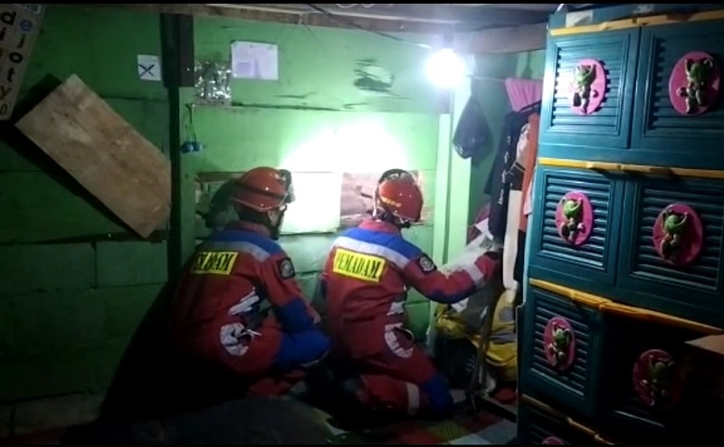 Kepala Nongol dari Dinding Tripleks, Ular Piton 4 Meter Gegerkan Penghuni Rumah di Pademangan