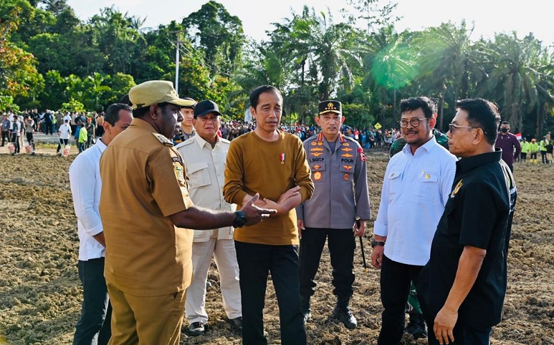 Jokowi di Papua, Kick Off Food Estate Siapkan Lahan Jagung 10 Ribu Hektare