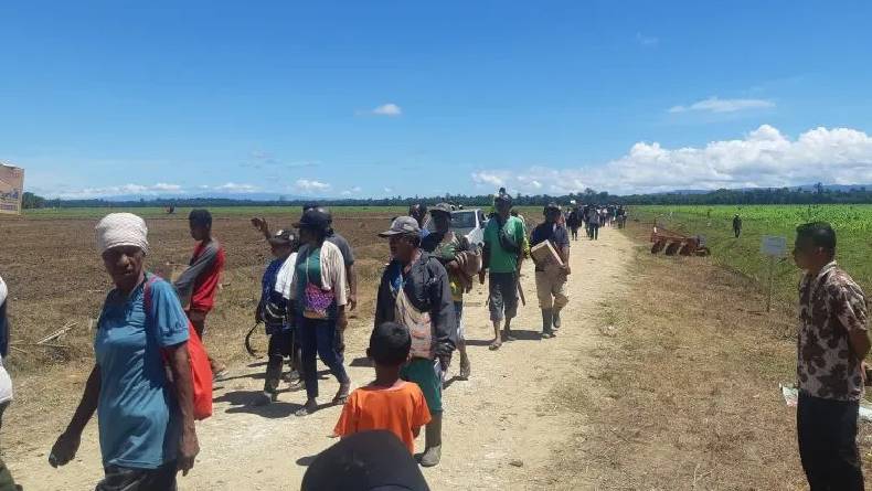 Antusias Sambut Presiden Jokowi, Ratusan Warga Padati Lahan Food Estate Keerom