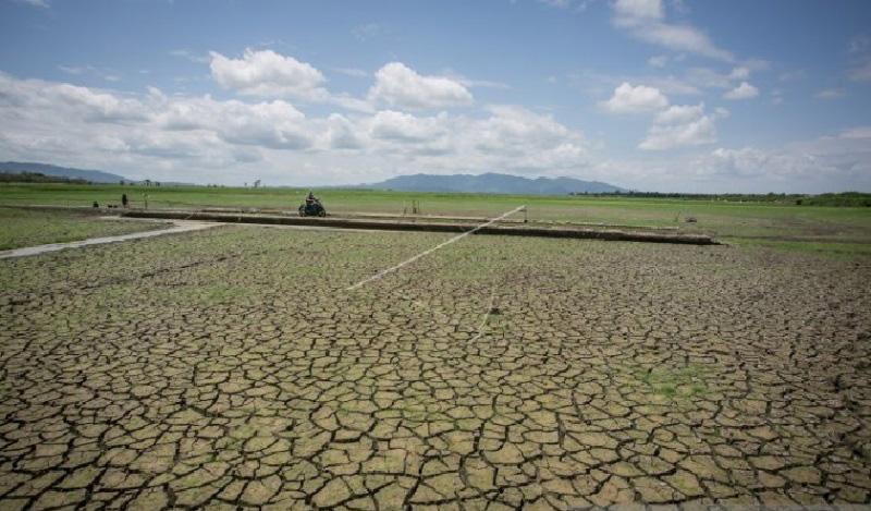 El Nino Berpotensi Terjadi pada Semester Kedua 2023, BMKG Minta Optimalkan Gerakan Panen Air Hujan