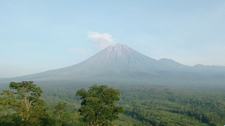 Aktivitas Vulkanis Gunung Semeru Masih Tinggi, Rata-rata 52 Erupsi per Hari