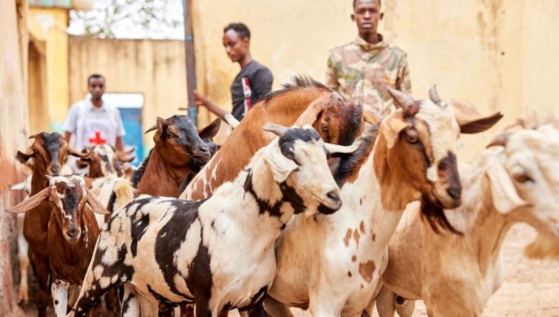 Berkah Bulan Ramadhan di Somalia, Ribuan Tahanan Dapat Berbagai Makanan Tambahan