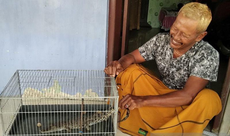 Heboh Warga Kudus Temukan Anak Buaya di Area Persawahan yang Tergenang Banjir