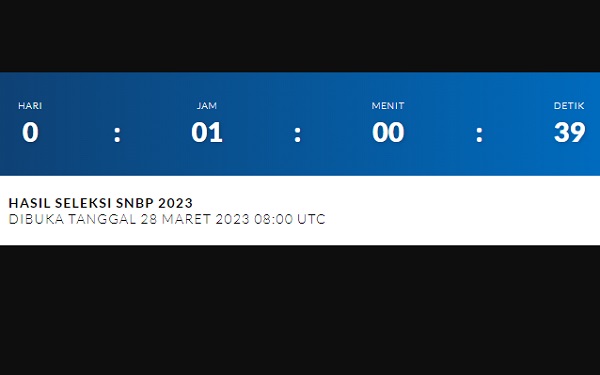 Cek Hasil SNBP 2023 di Mana? Ini 39 Link untuk Lihat Pengumuman Kelulusan