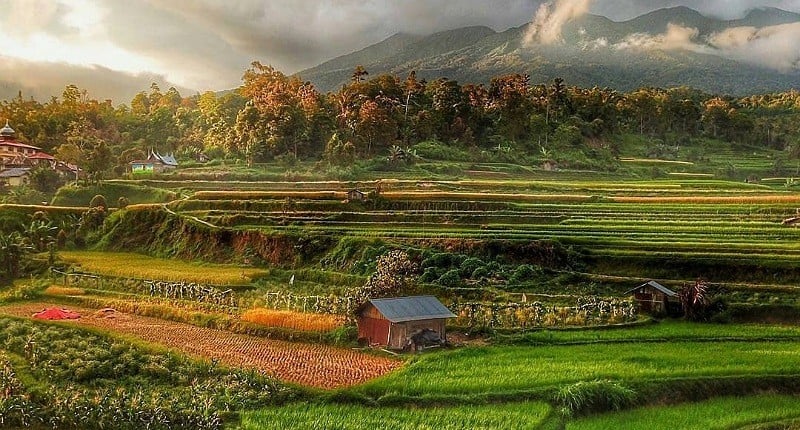 Kampung Unik di Sumatera Barat, Singgah ke Desa Terindah di Dunia, seperti Ini Suasananya!