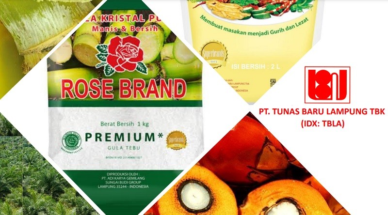 Tunas Baru Lampung (TBLA) Right Issue 753 Juta Saham, Cek Jadwalnya 