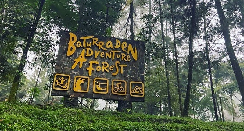 Baturraden Adventure Forest, Sensasi Menjelajahi Hutan Pinus dan Harga Tiketnya!