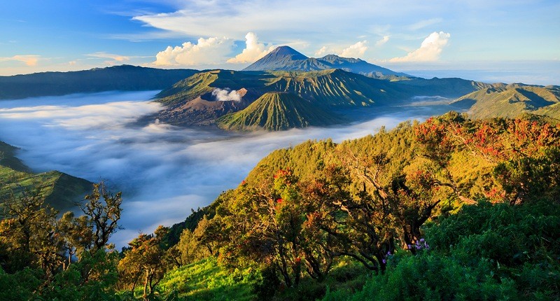 Besok Terakhir, Buruan Kejar Diskon Pesawat serta Tur & Aktivitas dari Mister Aladin!